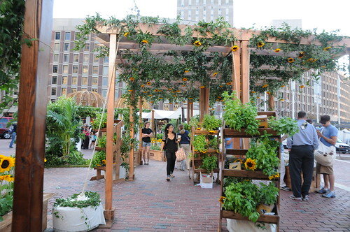 pergola with flowers growing on it