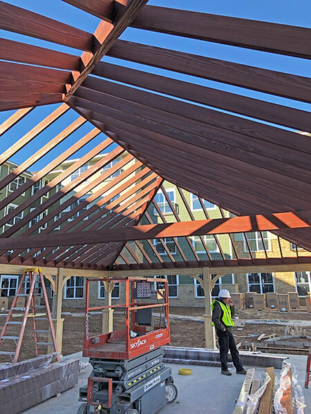 lattice roof of a pergola