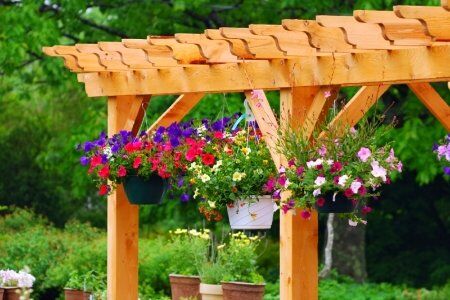 Built wood pergola with planters full of colorful flowers hanging from pergola.