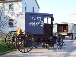 just married buggy