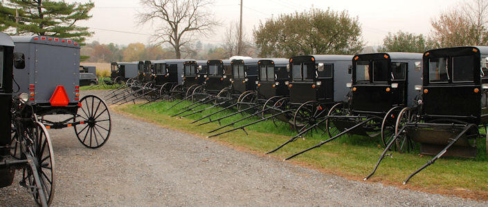 Amish Carriage